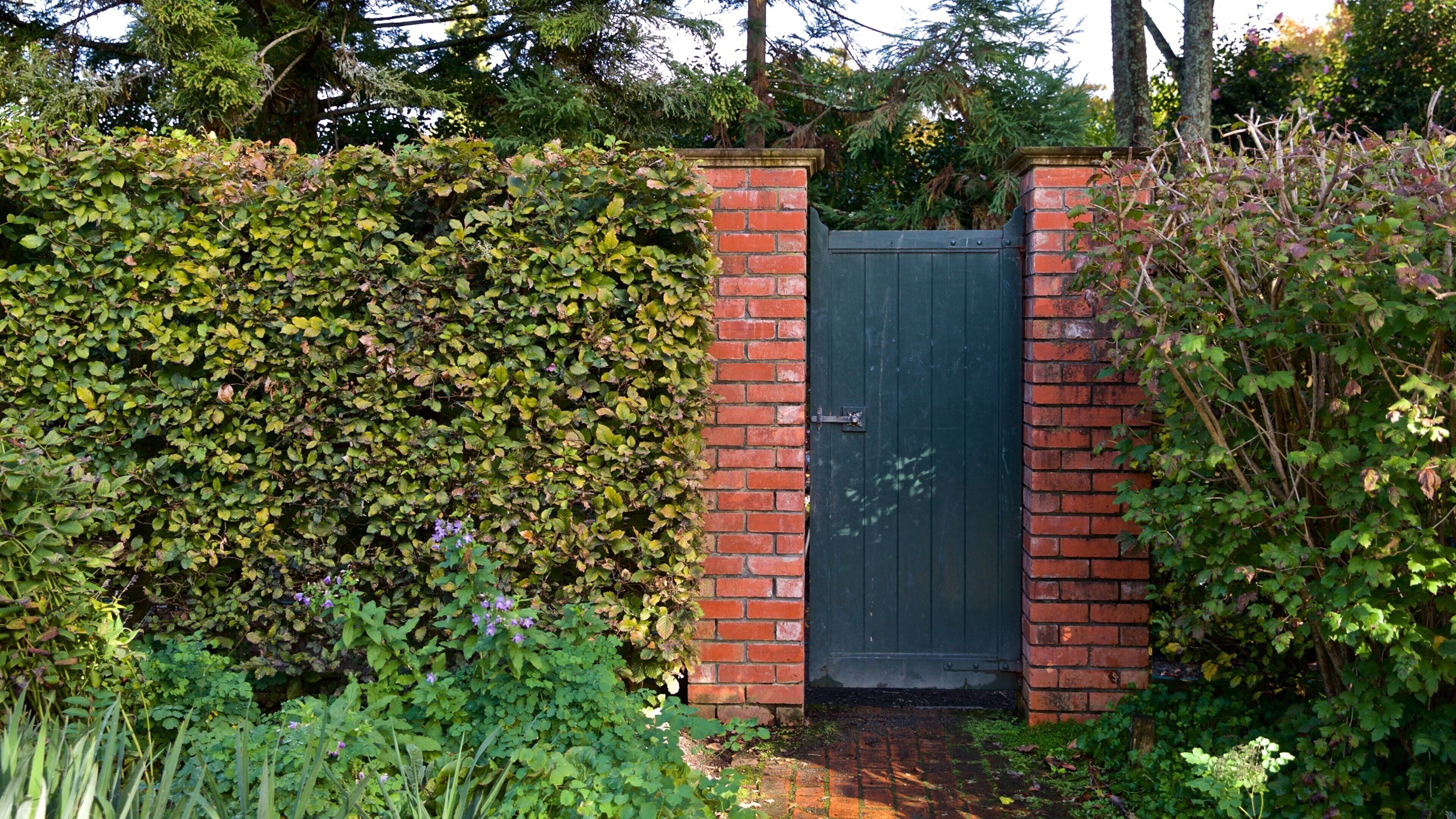 Hamilton Gardens featuring a garden