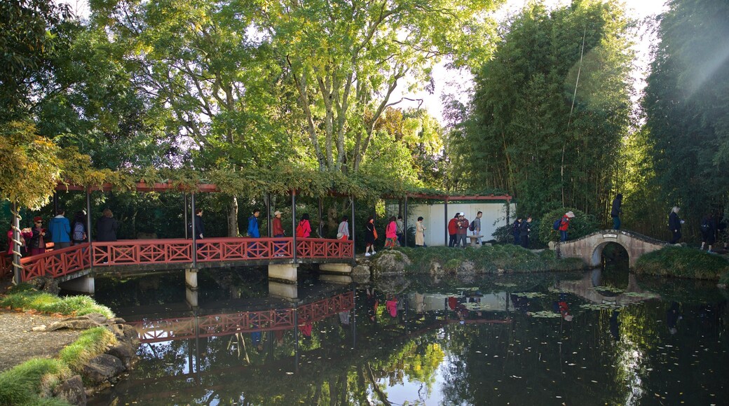 Hamilton Gardens showing a bridge and a pond as well as a small group of people