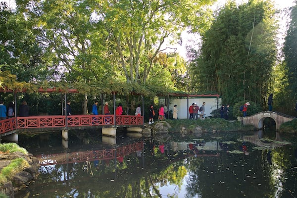 Hamilton Gardens showing a bridge and a pond as well as a small group of people