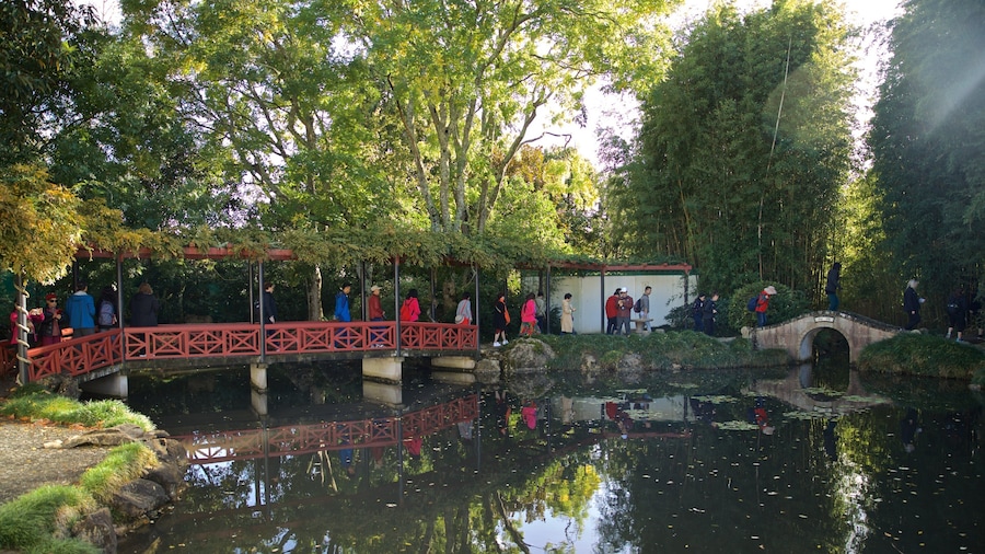 Hamilton Gardens showing a bridge and a pond as well as a small group of people