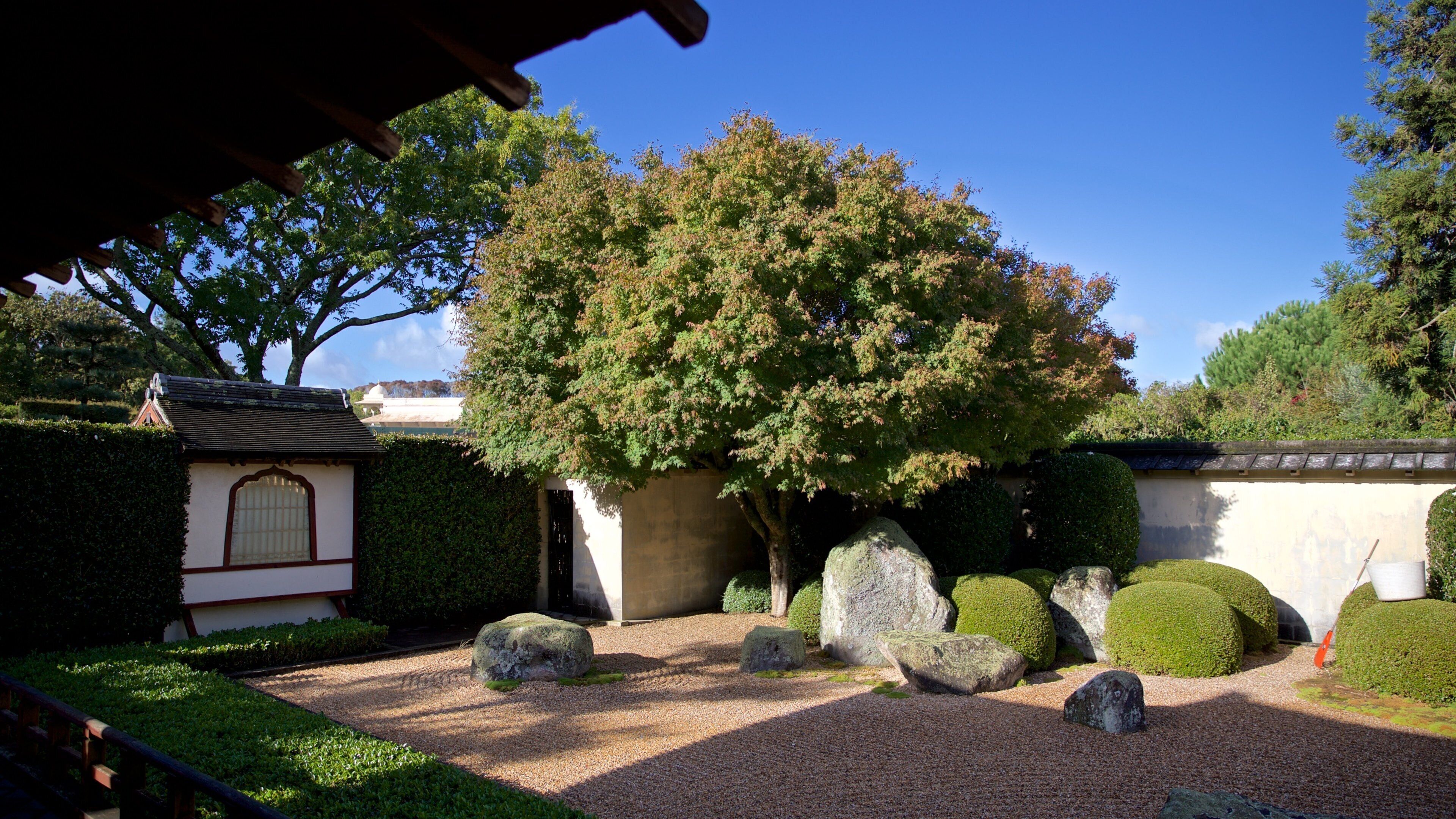 Hamilton Gardens showing a park