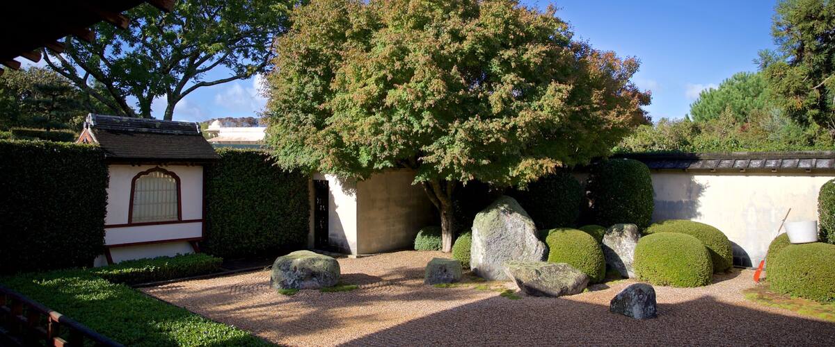 Hamilton Gardens showing a park