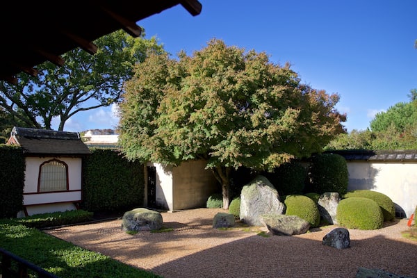 Hamilton Gardens showing a park