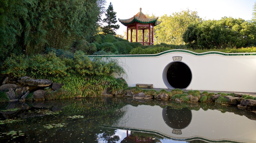 Hamilton Gardens showing a park and a pond