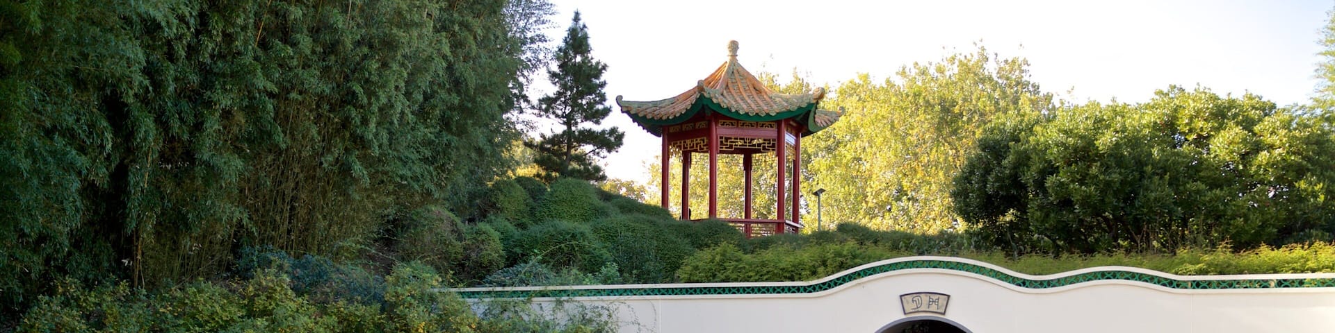 Hamilton Gardens showing a park and a pond