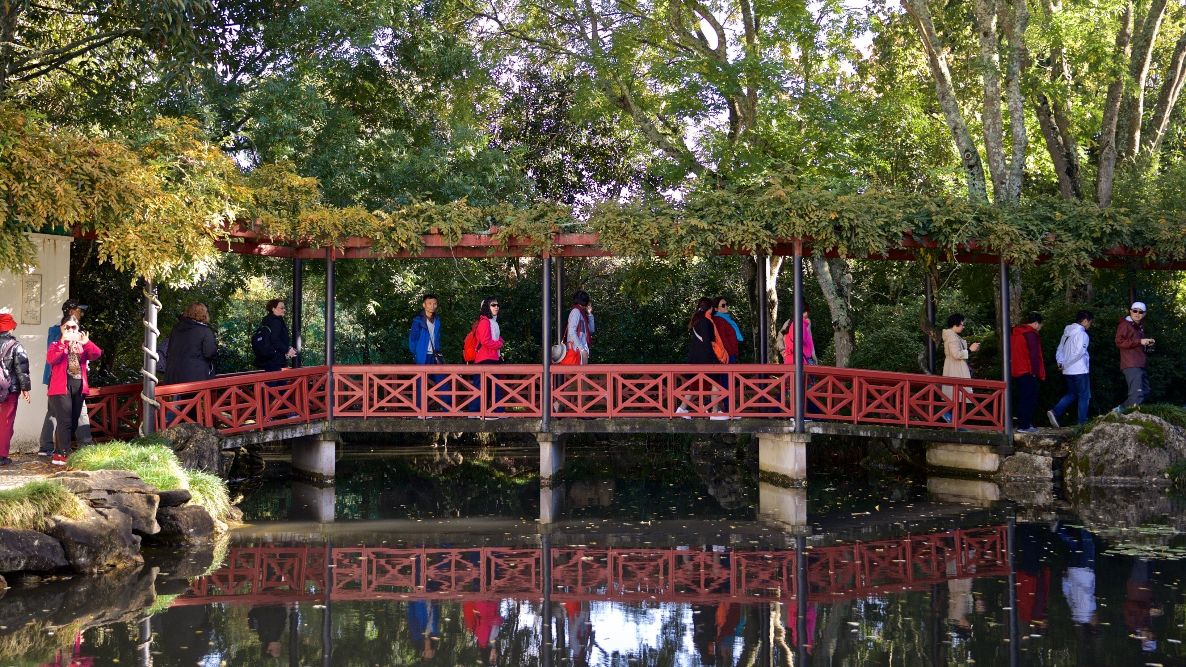 Hamilton Gardens featuring a pond and a bridge as well as a small group of people
