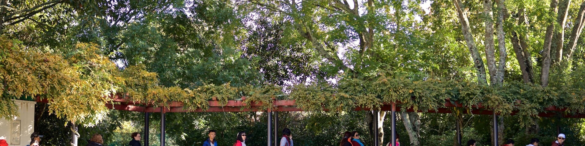 Hamilton Gardens featuring a pond and a bridge as well as a small group of people