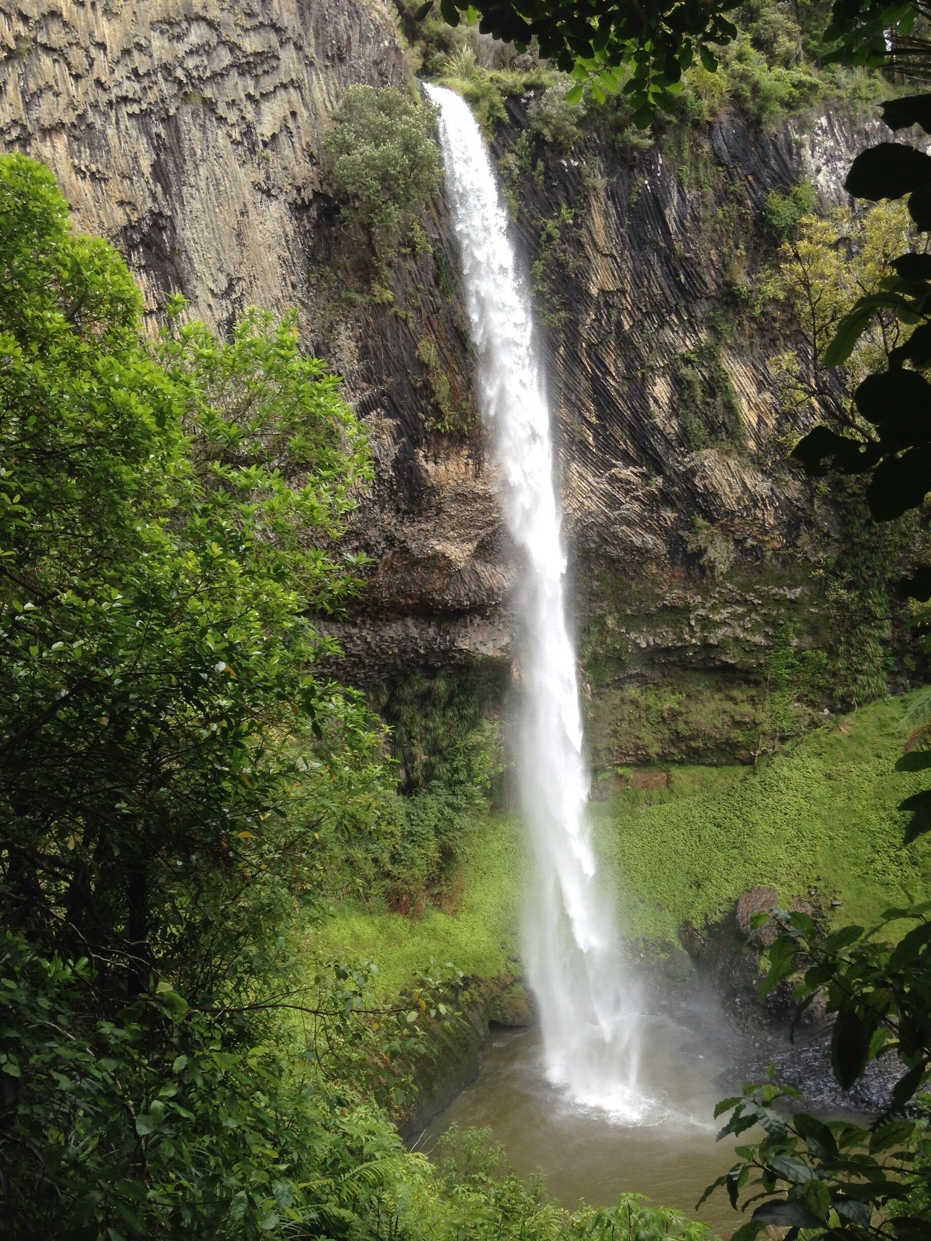 Ten minute flip flop walk read more about our New Zealand adventures at www.surfseayouandme.com