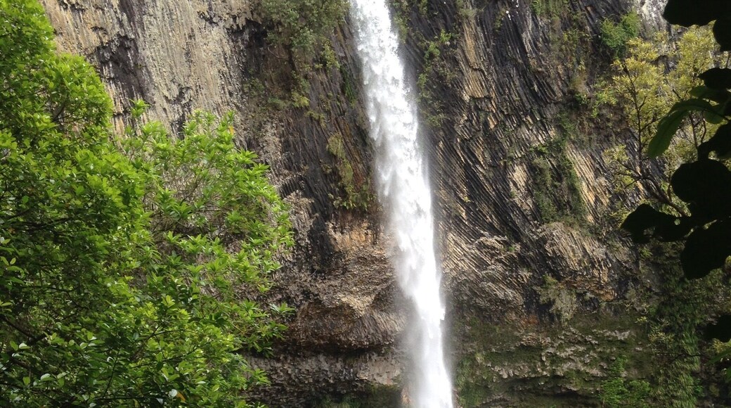 Ten minute flip flop walk read more about our New Zealand adventures at www.surfseayouandme.com