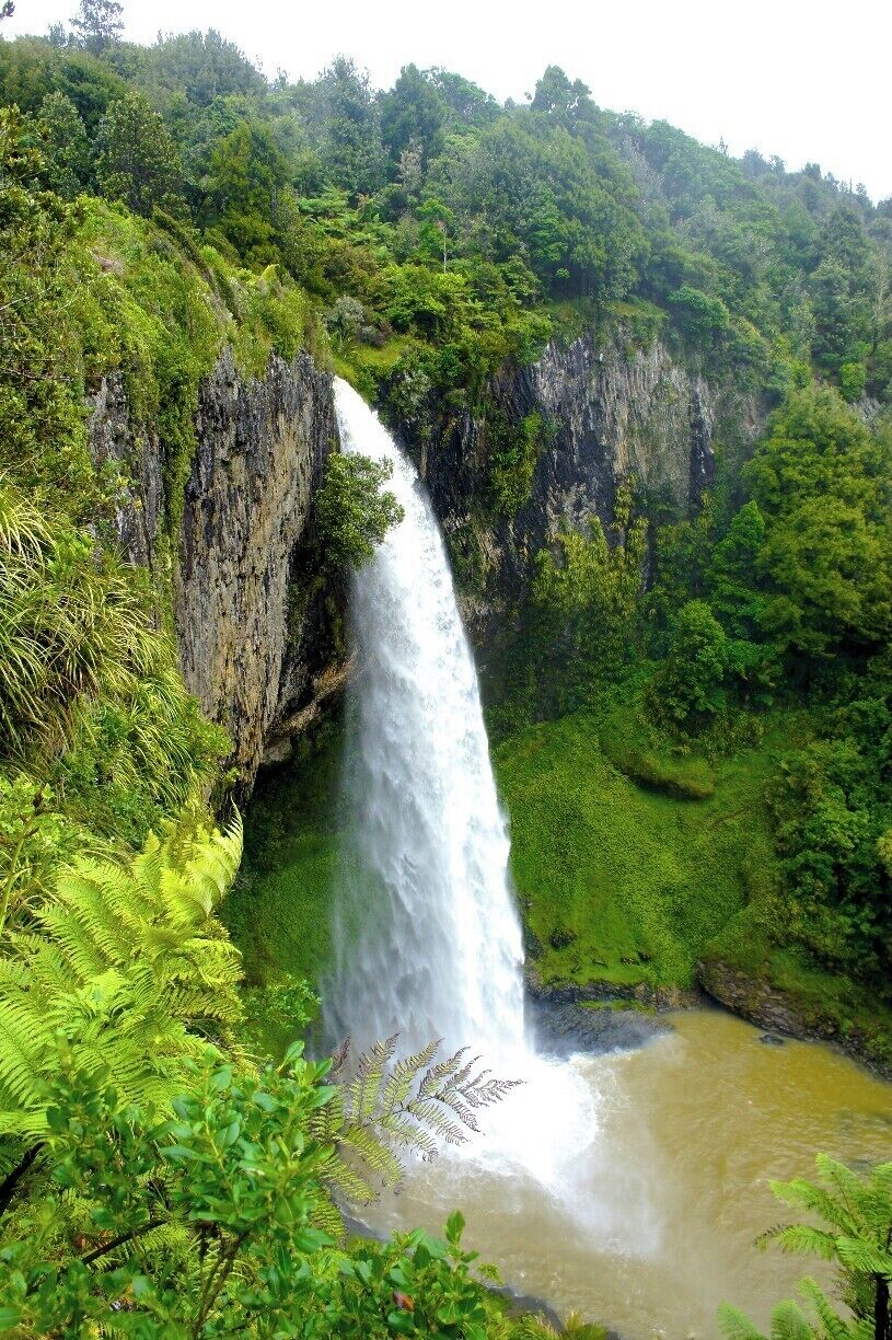 A waterfall cascading down a rocky cliff surrounded by lush greenery.