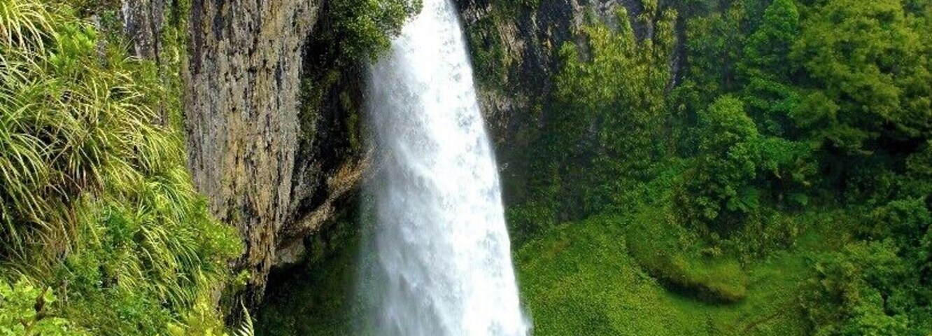 Uma cascata desce uma falésia rochosa, cercada por vegetação exuberante.