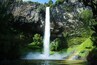 Una cascata impetuosa che si getta da una scogliera rocciosa, circondata da vegetazione lussureggiante.