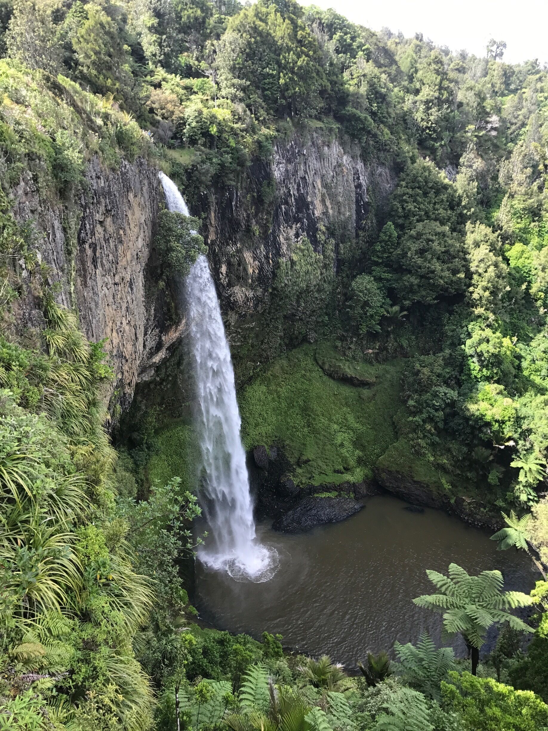 New zealand 🇳🇿✈️🌎🌴🌅