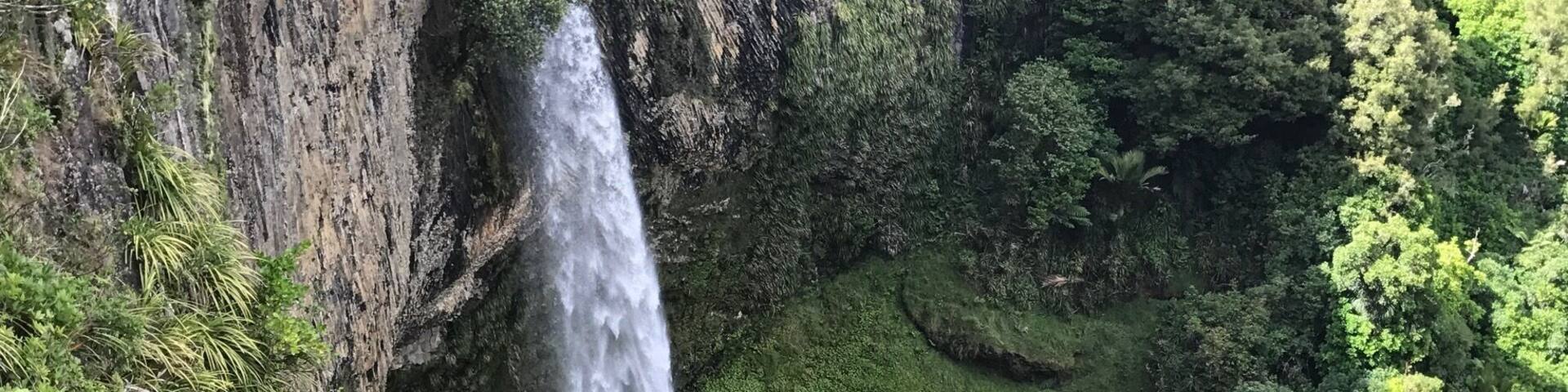 Una cascada que se precipita por un risco rodeado de vegetación exuberante.