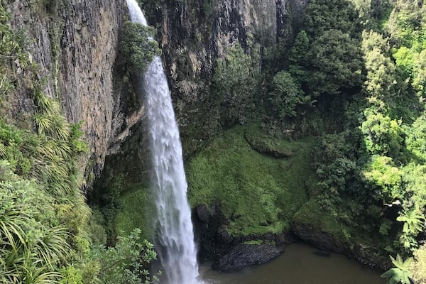 New zealand 🇳🇿✈️🌎🌴🌅