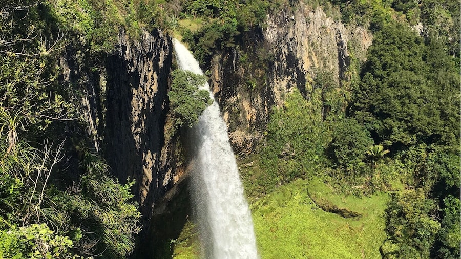 Stunning 33m long Bridal Veil Falls! Just a short drive from Raglan Beach.