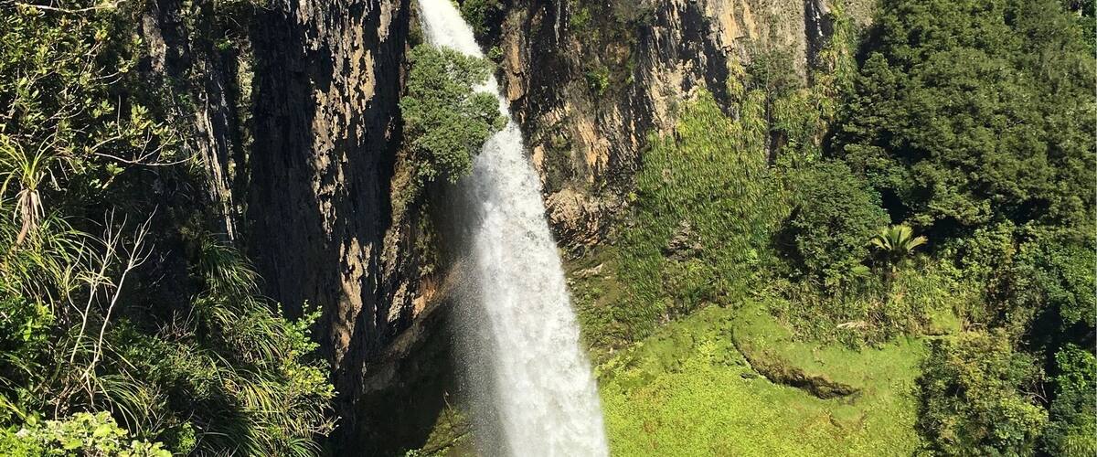 A waterfall cascading down a steep cliff surrounded by lush greenery.