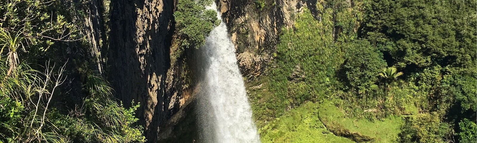 A waterfall cascading down a steep cliff surrounded by lush greenery.