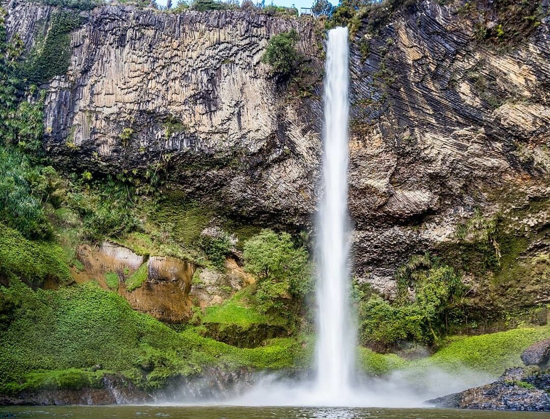 Bridal Veil Falls is kind of hidden gem of North Island. Respectively its shots are not unknown already but it is located in remoted part of landscape where there is no other reason to go, so only few people do that detour. There are several view decks at the waterfall so you can enjoy it from different heights and view angles. Only swimming is not recommended as the river above flows through the agriculture land and big pastures with many animals.
#zcesty 
#nature 
#newzealand 
#waterfalls
#travelling
#amazingplaces