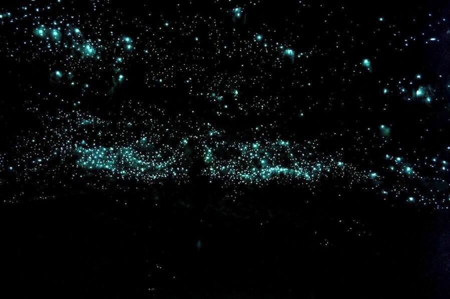 Take a trip with Black Water Rafting Co. as you tube down rivers in the pitch black, jump off waterfalls and see the stars, or the glowworms indigenous to this region. 