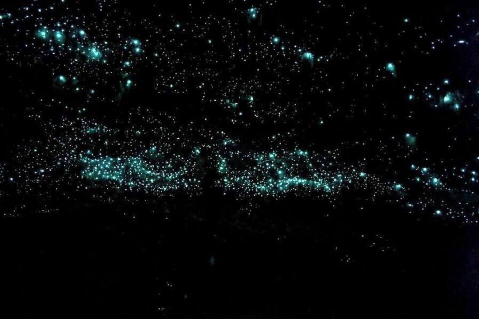 Céu noturno estrelado com pontos de luz brilhantes espalhados.