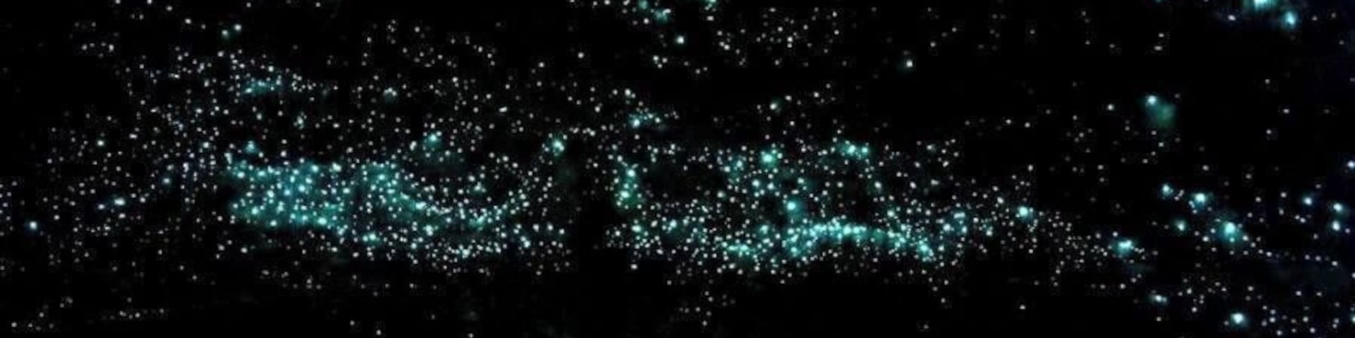 Take a trip with Black Water Rafting Co. as you tube down rivers in the pitch black, jump off waterfalls and see the stars, or the glowworms indigenous to this region.