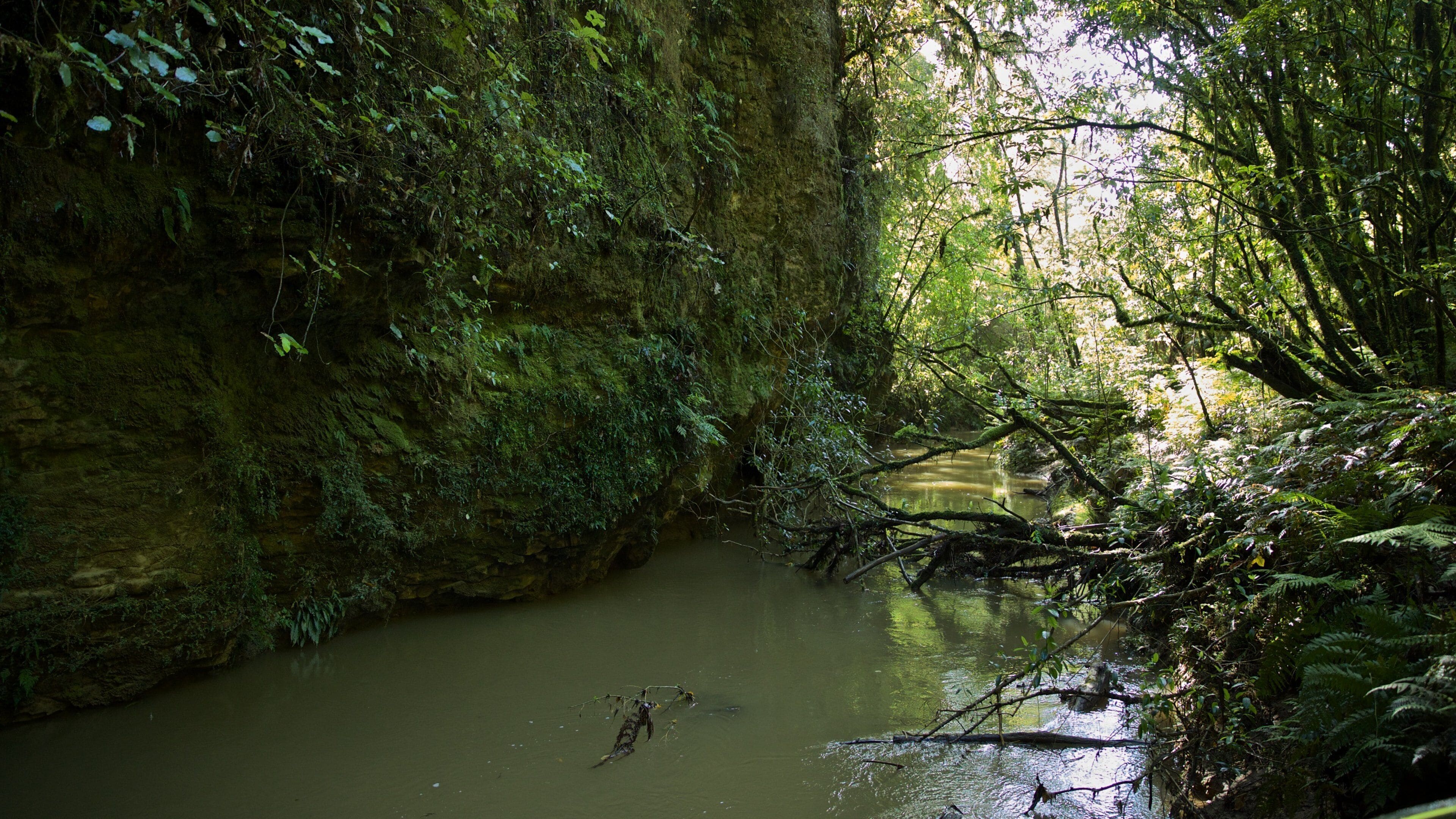 Waitomo Glowworm Caves featuring a river or creek