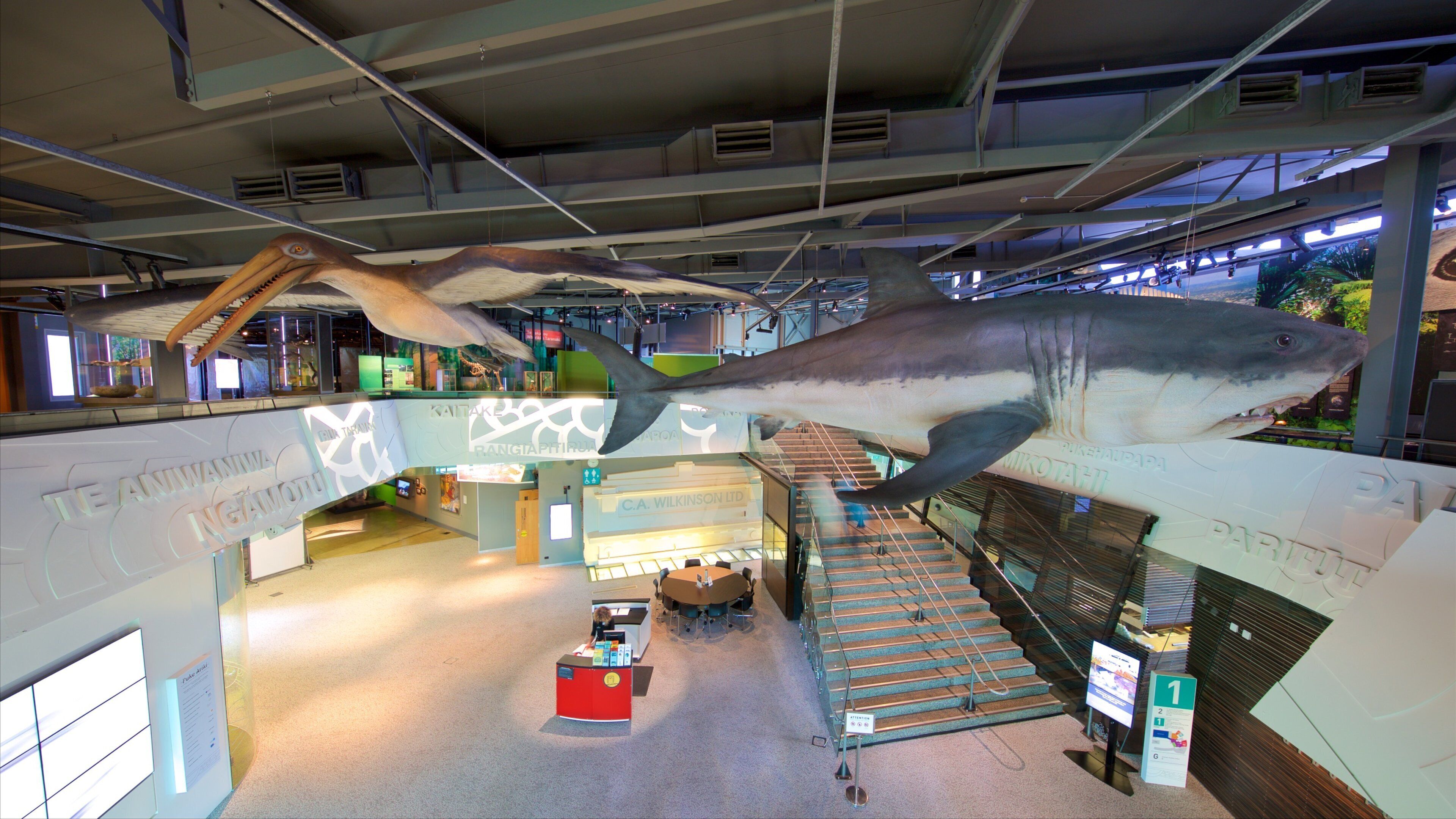 Puke Ariki mostrando vistas internas