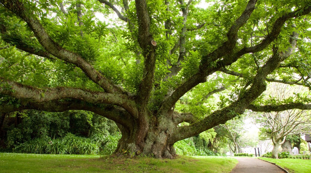 Saint Mary\'s Church which includes a cemetery