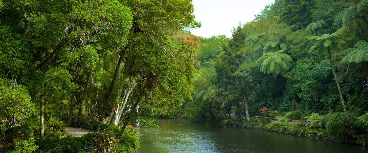 Pukekura Park showing a garden and a lake or waterhole