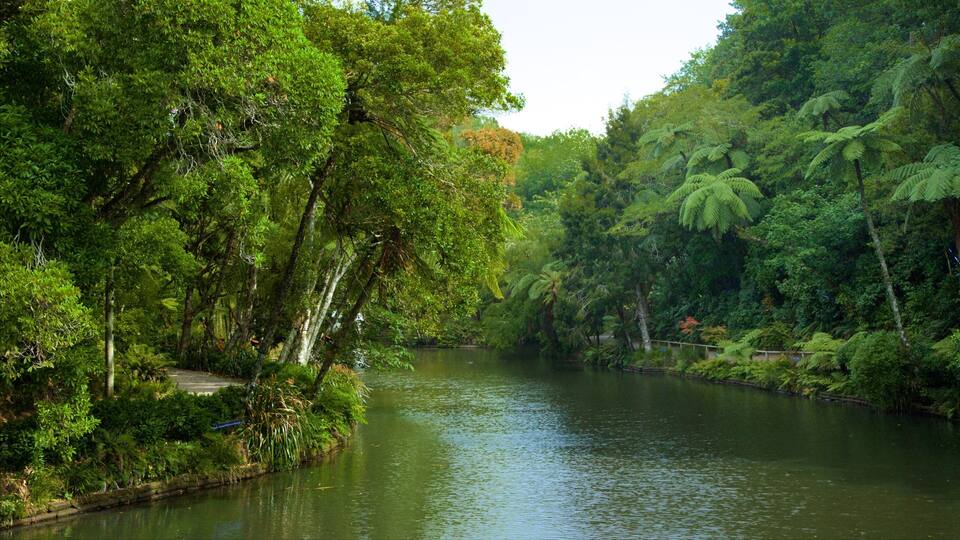 Pukekura Park som inkluderer innsjø og hage