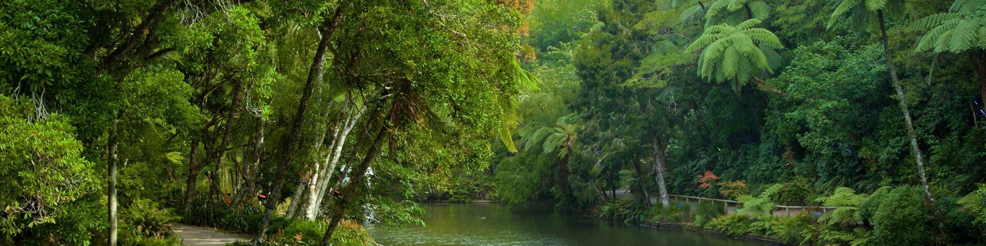 普克庫拉公園 设有 公園 和 湖泊或水池
