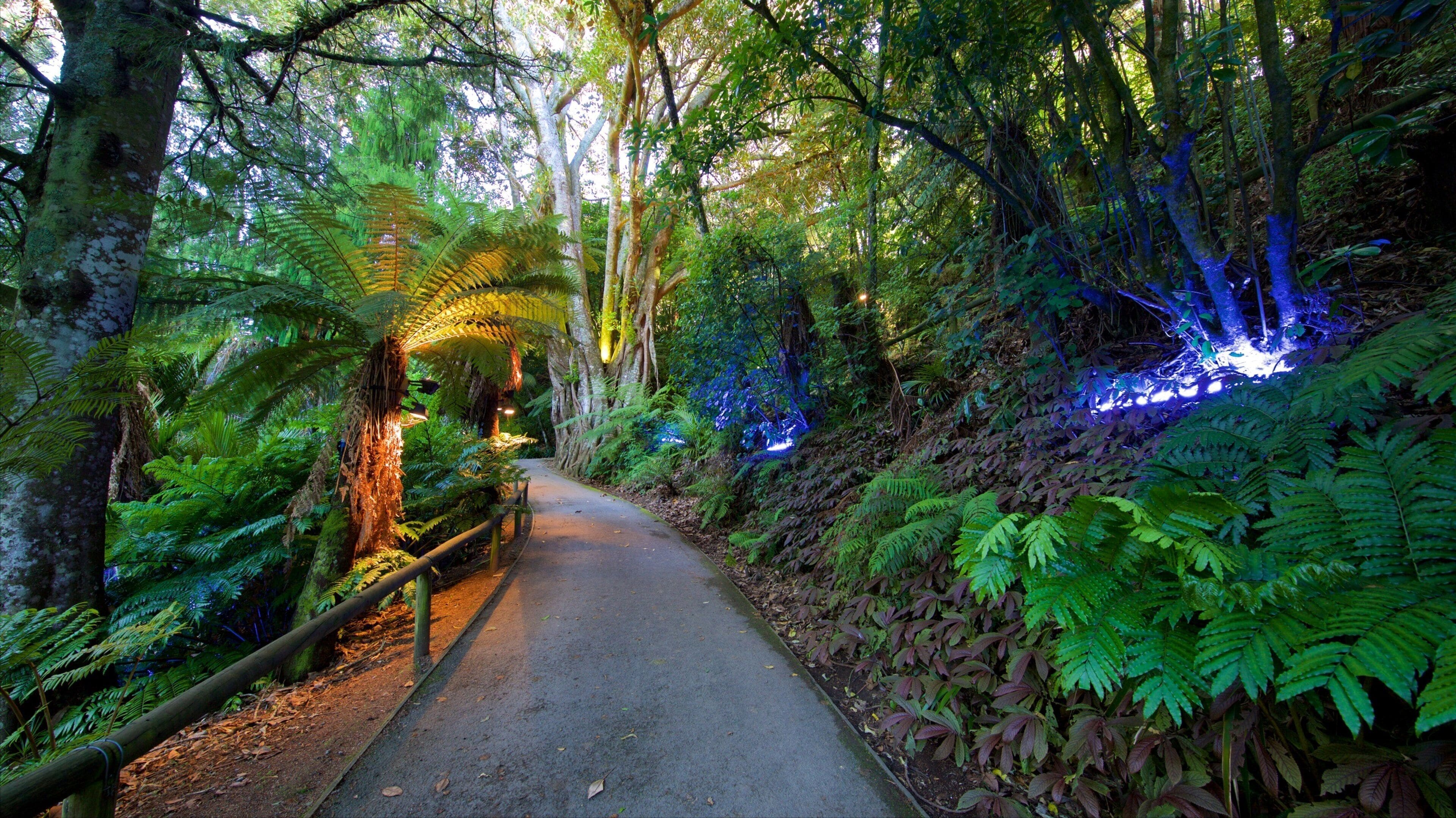 Parc Pukekura qui includes jardin