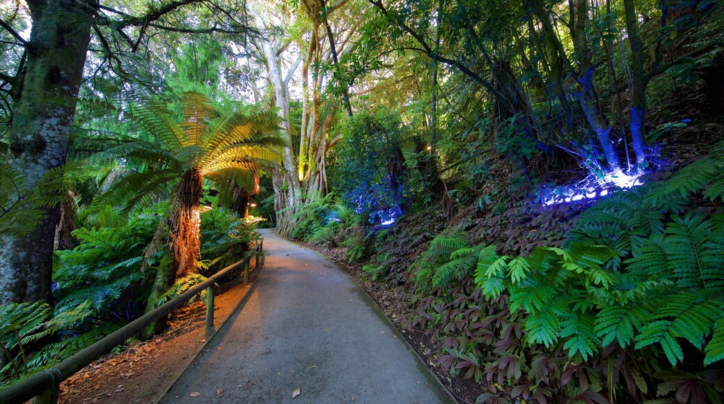 Parc Pukekura qui includes jardin