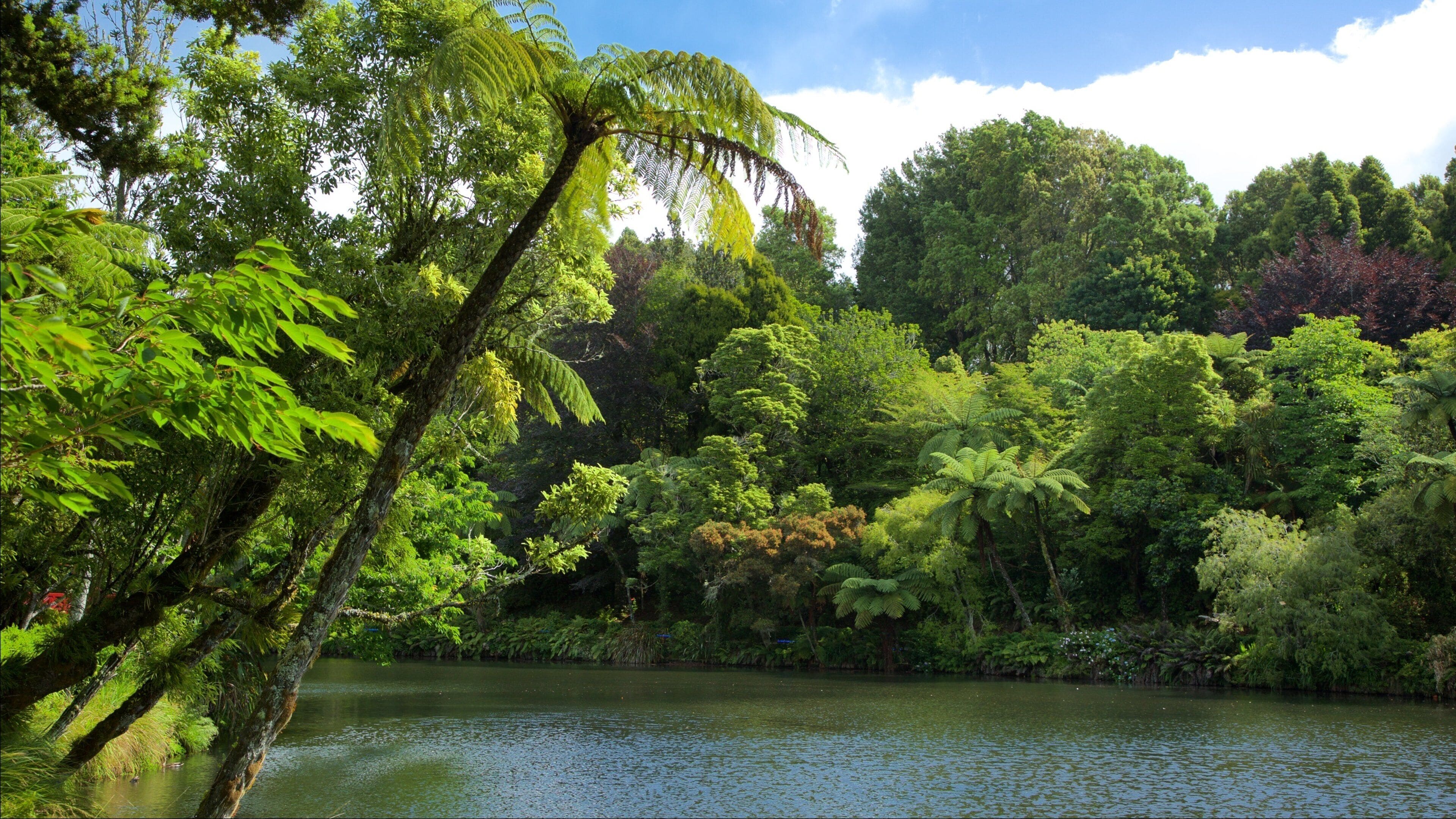 สวน Pukekura แสดง ทะเลสาบหรือแอ่งน้ำ และ สวนสาธารณะ