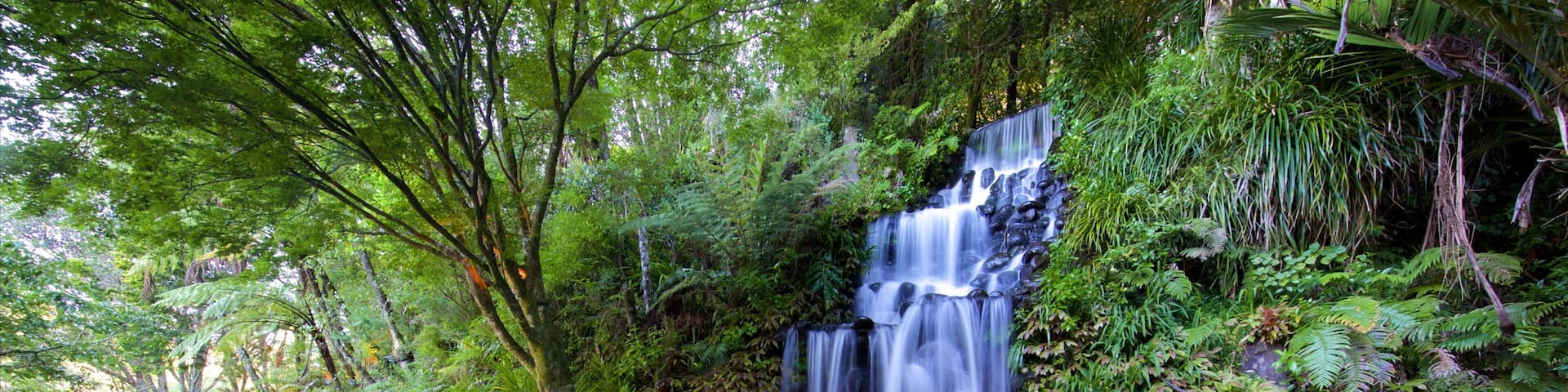 Pukekura Park featuring a cascade and forests