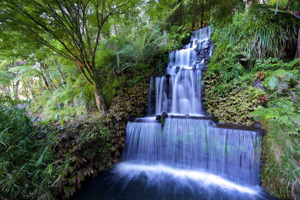 Uma cascata cercada por vegetação exuberante e samambaias.