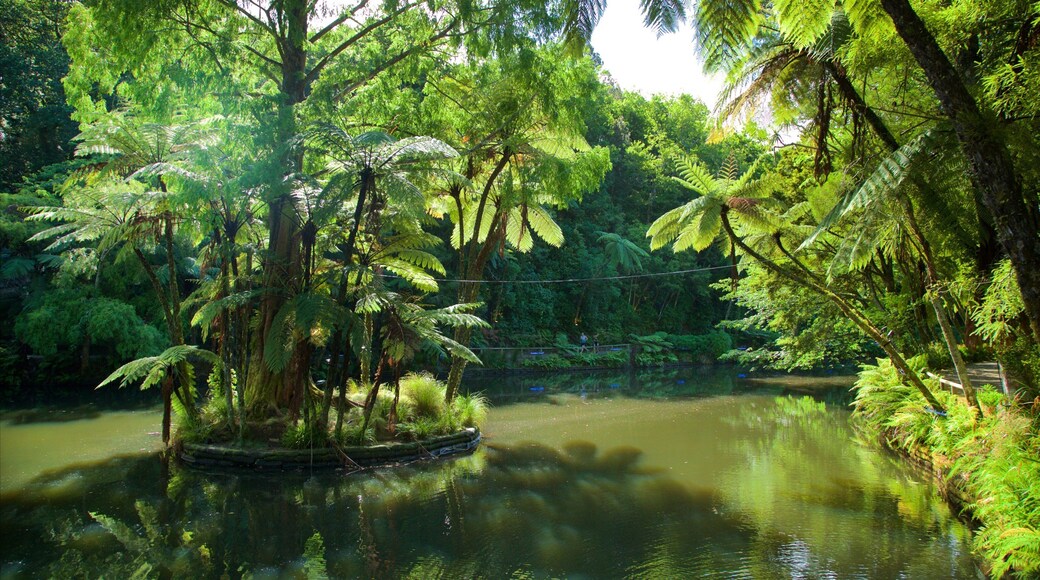 Pukekura Park som omfatter en sø eller et vandhul og en park