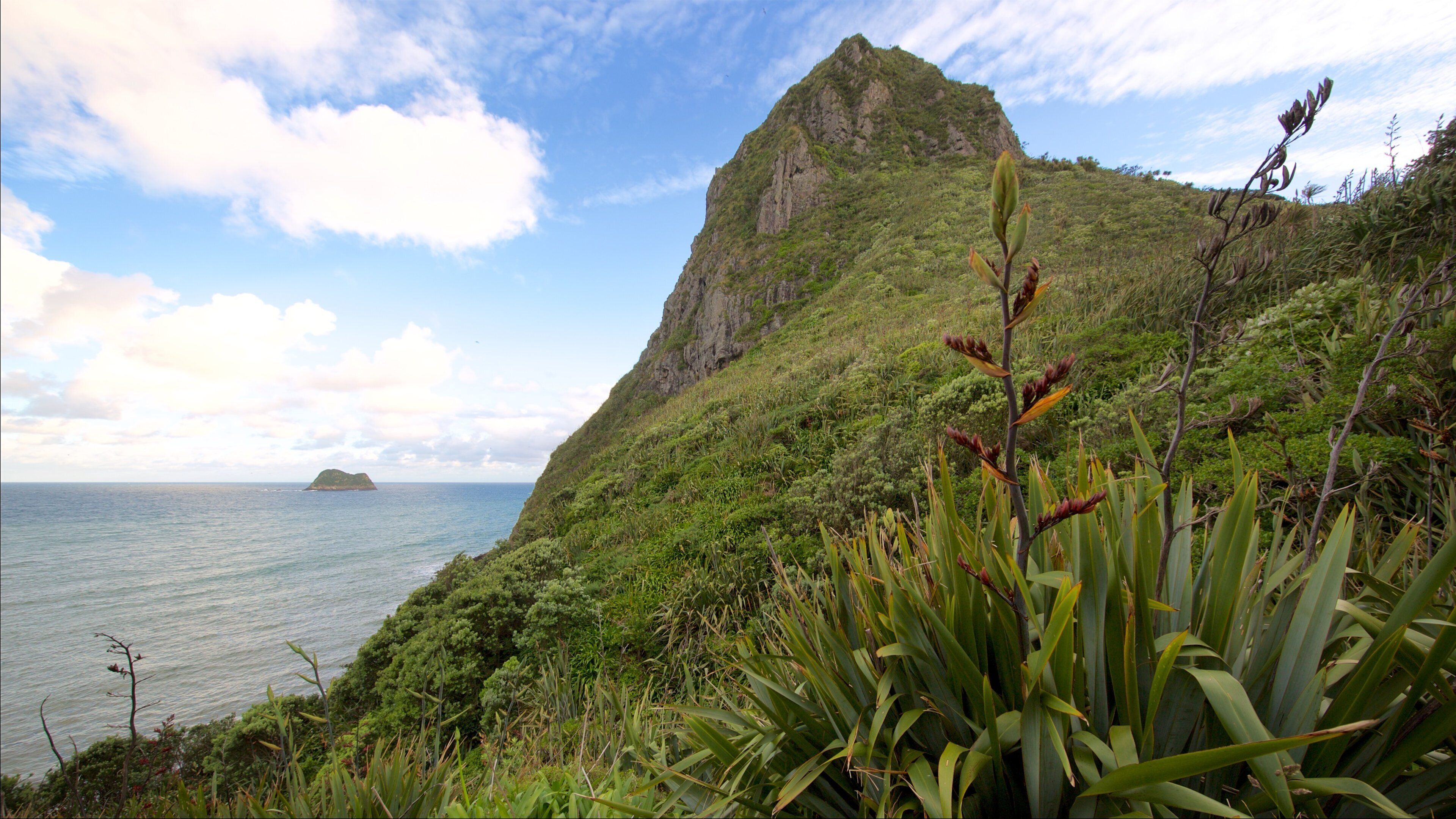 Paritutu Rock which includes a bay or harbor, rocky coastline and general coastal views