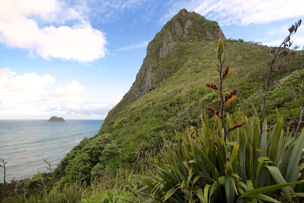 Paritutu Rock which includes a bay or harbor, rocky coastline and general coastal views