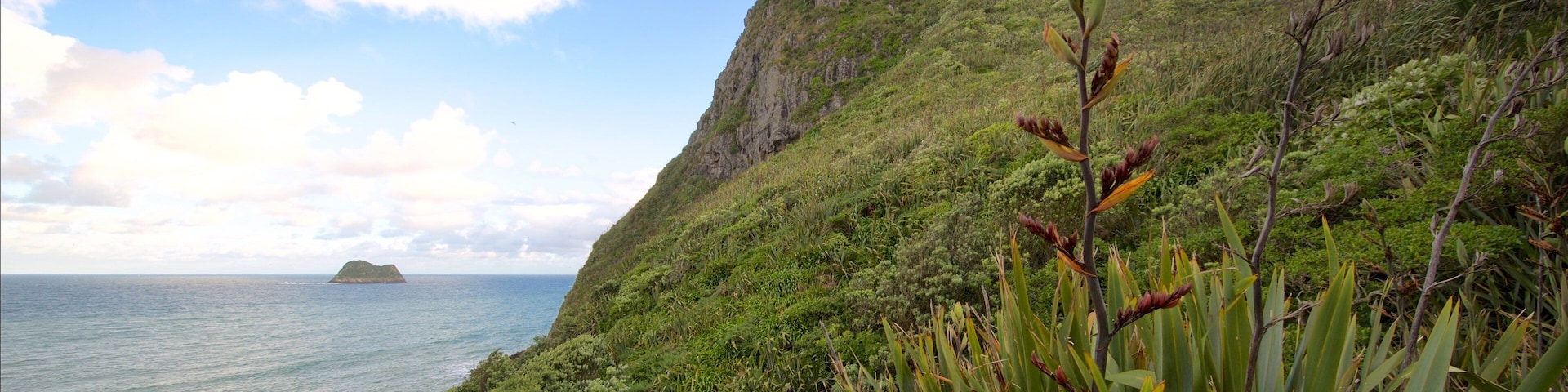 Paritutu Rock which includes a bay or harbor, rocky coastline and general coastal views