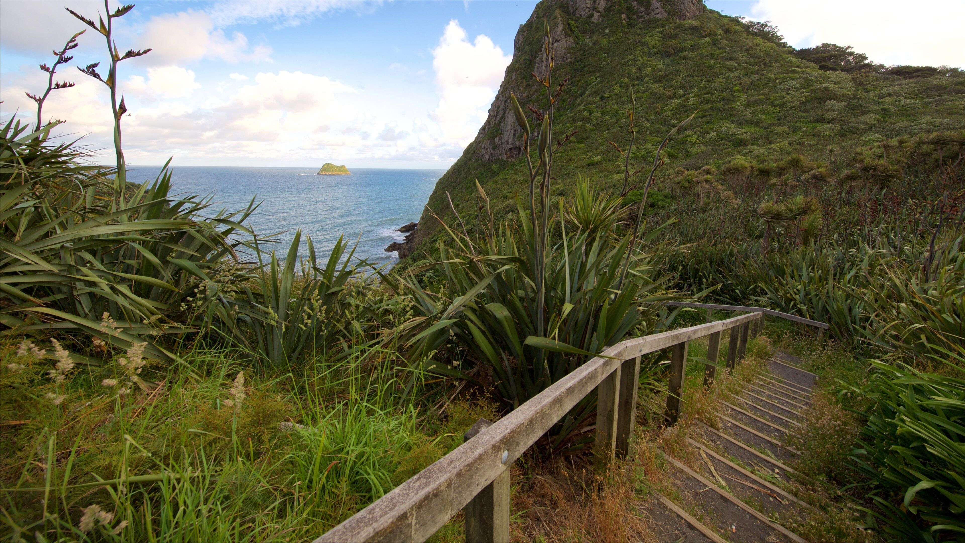 Paritutu Rock welches beinhaltet allgemeine Küstenansicht, Felsküste und Bucht oder Hafen