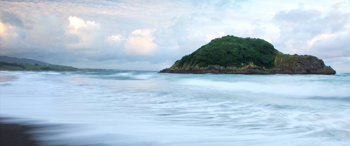 Sugar Loaf Marine Reserve which includes island views and a bay or harbor