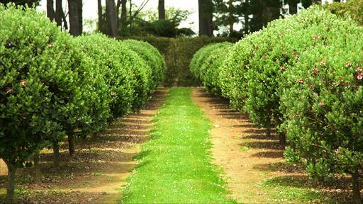 Sentry Hill Winery mostrando um parque