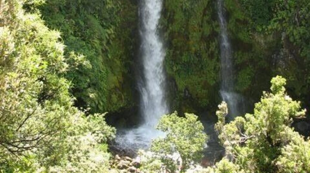 Dawsons fall at Mt Taranaki. Quite peaceful. Really great walks around & up this mountain. But don't be fooled, weather caves in quick so be prepared.