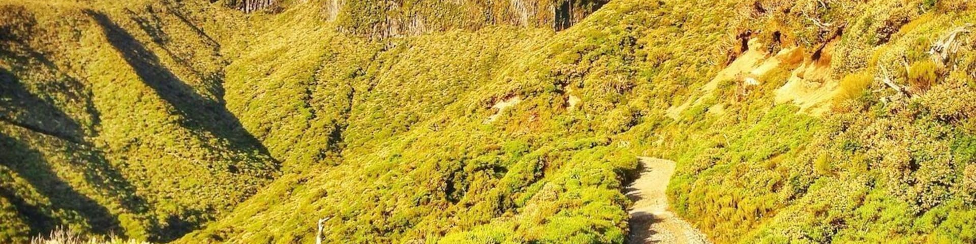 Taranaki is the second deadliest mountain in New Zealand. A 2500 meter tall volcano, Taranaki just out of the flat ground near New Plymouth on New Zealand's North Island. A brutal 8-10 hour hike in summer, the view from the top is spectacular.