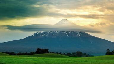 Got this on our way to New Plymouth NZ