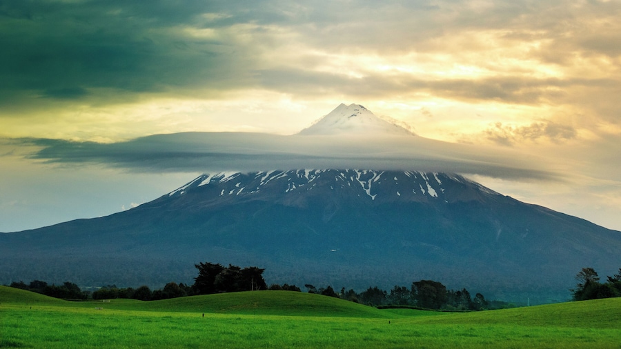 Got this on our way to New Plymouth NZ