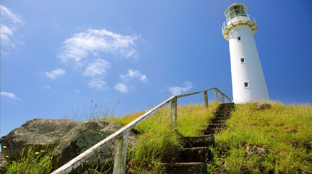 ニュー プリマス フィーチャー 灯台