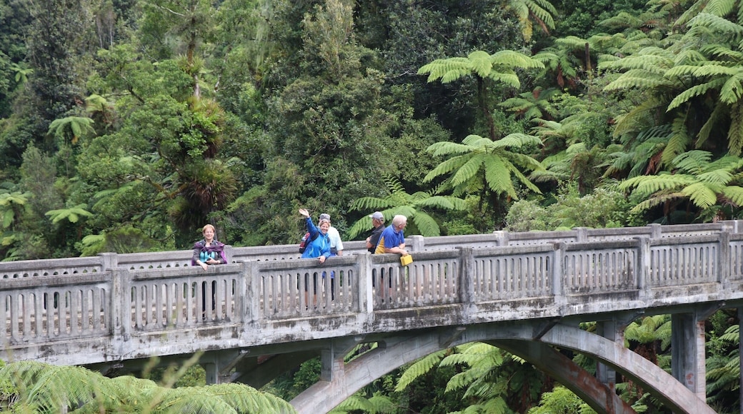 Kia Ora tour March/April 2017 in New Zealand. Hike to the "Bridge to Nowhere"